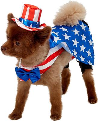 RUBIE'S COSTUME COMPANY Uncle Sam Dog Costume, Large