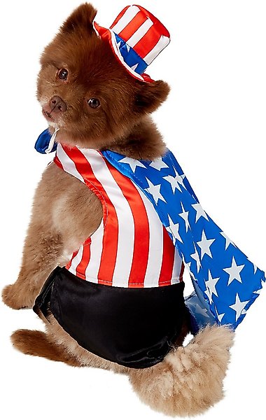 Show full view: Rubie's Costume Company Uncle Sam Dog Costume, Medium slide 2 of 8