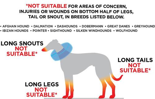 Show full view: Rucal Pets Inflatable Recovery Dog Collar, Blue, Large slide 3 of 9