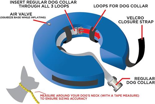Show full view: Rucal Pets Inflatable Recovery Dog Collar, Blue, Large slide 5 of 9