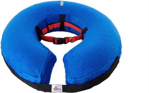 Show full view: Rucal Pets Inflatable Recovery Dog Collar, Blue, Large slide 8 of 9