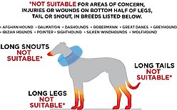 Rucal Pets Inflatable Recovery Dog Collar, Blue, X-Small slide 2 of 6