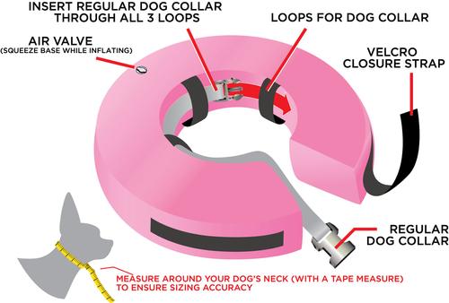 Show full view: Rucal Pets Inflatable Recovery Dog Collar, Pink, Medium slide 5 of 9