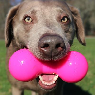 Show full view: Ruff Dawg, Big Dawg Barbell Tough Dog Chew Toy, Regular slide 3 of 6