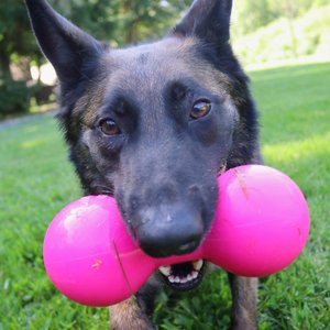 Ruff Dawg Big Dawg Dog Chew Toy, Pink, X-Large