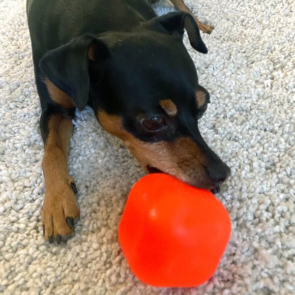 Show full view: Ruff Dawg Dawg-Cube Tough Dog Toy, Regular slide 5 of 7