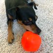 Show in main carousel: Ruff Dawg Dawg-Cube Tough Dog Toy, Regular slide 5 of 7