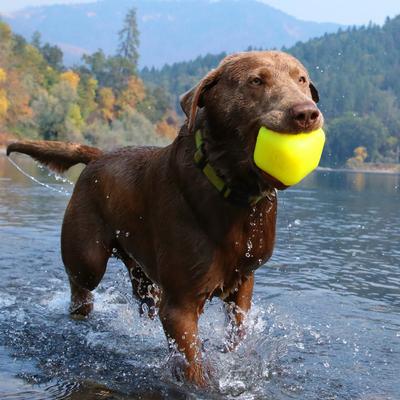 Show full view: Ruff Dawg Dawg-Cube Tough Dog Toy, X-Large slide 6 of 8