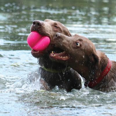 Show full view: Ruff Dawg Dawg-Hart Tough Rubber Dog Chew Toy, Multi, X-Large slide 4 of 7