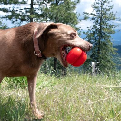 Show full view: Ruff Dawg Dawg-Hart Tough Rubber Dog Chew Toy, Red, X-Large slide 5 of 6