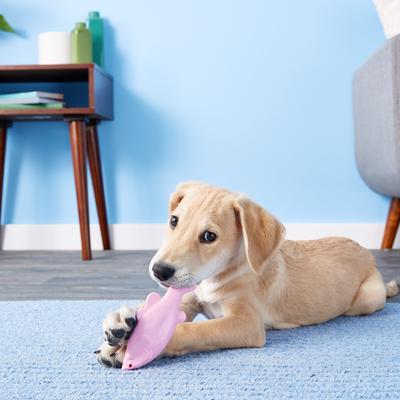 Show full view: Ruff Dawg FlyingFish Tough Dog Fetch Toy, Color Varies, Minnow slide 5 of 7