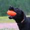 Show in main carousel: Ruff Dawg Football Tough Rubber Dog Chew Toy, Small slide 4 of 6