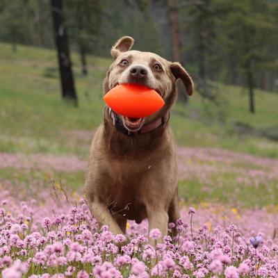 Show full view: Ruff Dawg Football Tough Rubber Dog Chew Toy, X-Large slide 4 of 6