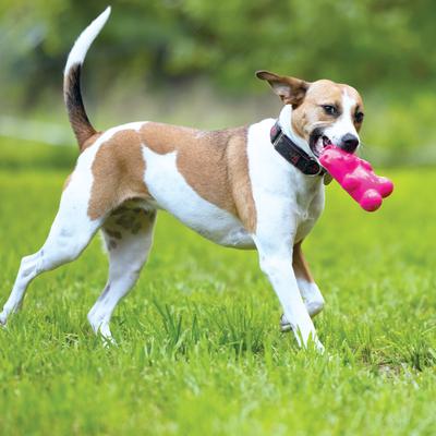 Show full view: Ruff Dawg Gummy Bear Treat Dispenser Tough Dog Toy, Color Varies slide 3 of 8