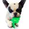 Show in main carousel: Ruff Dawg Minnow Dog Toy, Green, Small slide 4 of 4