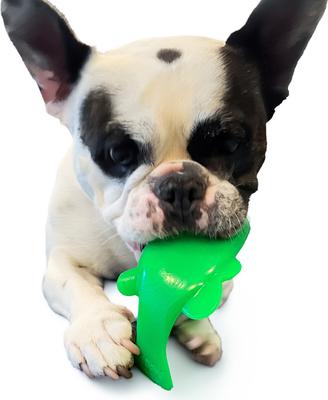 Show full view: Ruff Dawg Minnow Dog Toy, Green, Small slide 4 of 4