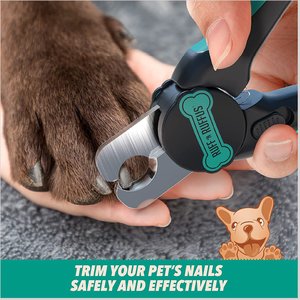 Ruff 'N Ruffus 3-Piece Essential Grooming Kit for Dogs & Cats, Aqua