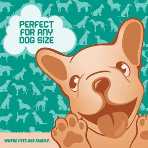 Ruff 'N Ruffus Tangle-Free Retractable Dog Leash & Bonus Contents, Aqua