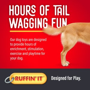 RUFFIN' IT Woodlands Squirrel Plush Dog Toy