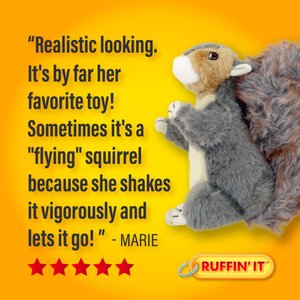 RUFFIN' IT Woodlands Squirrel Plush Dog Toy
