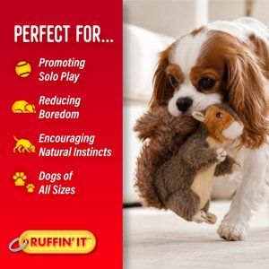RUFFIN' IT Woodlands Squirrel Plush Dog Toy