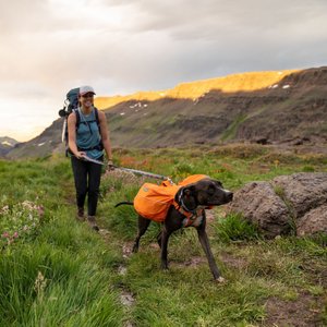 Ruffwear Approach Dog Backpack, Campfire Orange, Medium
