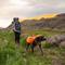 Show in main carousel: Ruffwear Approach Dog Backpack, Campfire Orange, Small slide 4 of 5