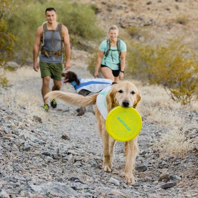 Show full view: Ruffwear Camp Flyer Dog Toy, Lichen Green slide 4 of 5