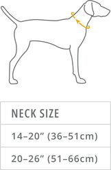 Ruffwear Confluence Polyester Reflective Dog Collar, Aurora Teal, 14 to 20-in neck, 0.98-in wide slide 2 of 4