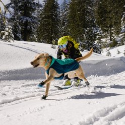 Ruffwear Confluence Polyester Reflective Dog Collar, Aurora Teal, 20 to 26-in neck, 0.98-in wide slide 2 of 4