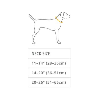 Show full view: Ruffwear Crag Polyester Reflective Dog Collar, Alpine Dusk, 20 to 26-in neck, 1-in wide slide 2 of 5