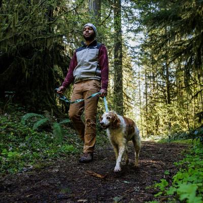 Show full view: Ruffwear Crag Polyester Reflective Dog Collar, Grassy Oxbow, 14 to 20-in neck, 1-in wide slide 4 of 5