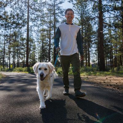 Show full view: Ruffwear Crag Polyester Reflective Dog Collar, Rising Wave, 14 to 20-in neck, 1-in wide slide 4 of 5