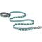 Show in main carousel: Ruffwear Crag Polyester Reflective Traffic-Handle Dog Leash, Grassy Oxbow, 6-ft long, 1-in wide slide 1 of 4