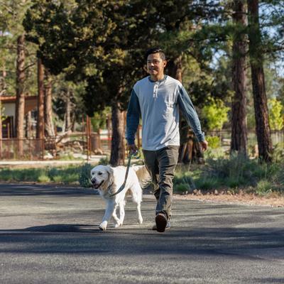 Show full view: Ruffwear Crag Polyester Reflective Traffic-Handle Dog Leash, Rising Wave, 6-ft long, 1-in wide slide 3 of 4