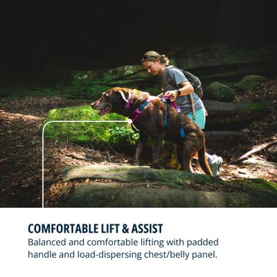 Show full view: Ruffwear Flagline Front-Clip Dog Harness, Alpenglow Pink, Small: 22 to 27-in chest slide 7 of 10