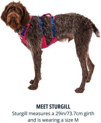 Show full view: Ruffwear Flagline Front-Clip Dog Harness, Alpenglow Pink, X-Small: 17 to 22-in chest slide 8 of 9