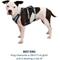 Show in main carousel: Ruffwear Flagline Front-Clip Dog Harness, Basalt Gray, Large/X-Large: 32 to 42-in chest slide 8 of 9