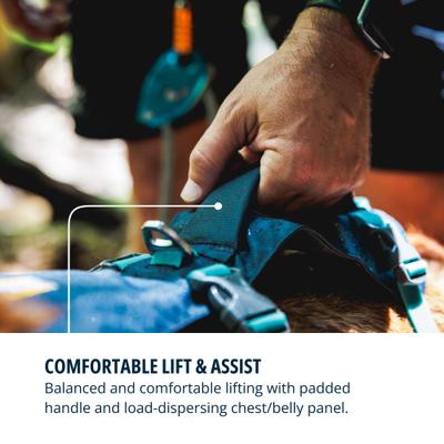 Show full view: Ruffwear Flagline Front-Clip Dog Harness, Basalt Gray, Small: 22 to 27-in chest slide 6 of 9