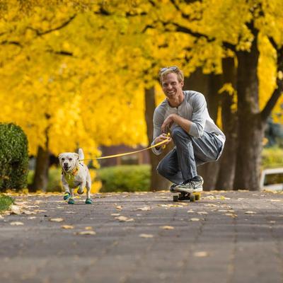 Show full view: Ruffwear Flagline Front-Clip Dog Harness, Lichen Green, Medium: 27 to 32-in chest slide 4 of 8