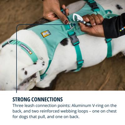 Show full view: Ruffwear Flagline Front-Clip Dog Harness, Sage Green, Large/X-Large: 32 to 42-in chest slide 7 of 8