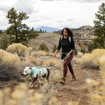 Show full view: Ruffwear Flagline Front-Clip Dog Harness, Sage Green, X-Small: 17 to 22-in chest slide 5 of 9