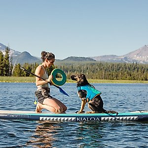 Ruffwear Float Coat Dog Life Jacket, Wave Orange, Medium