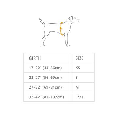 Show full view: Ruffwear Front Range Dog Day Pack, Basalt Gray, Large/X-Large slide 2 of 5