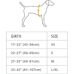 Ruffwear Front Range Dog Day Pack, Basalt Gray, Medium
