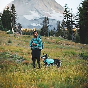 Ruffwear Front Range Dog Day Pack, Basalt Gray, Medium