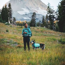 Ruffwear Front Range Dog Day Pack, River Rock Green, Large/X-Large slide 2 of 4