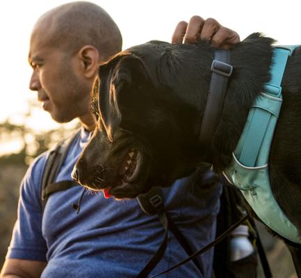 Show full view: Ruffwear Front Range Polyester Dog Collar, Basalt Gray, 14 to 20-in neck, 1-in wide slide 4 of 8