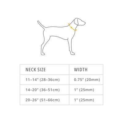 Show full view: Ruffwear Front Range Polyester Dog Collar, Basalt Gray, 14 to 20-in neck, 1-in wide slide 2 of 8