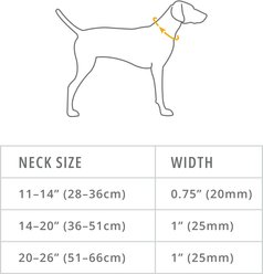 Ruffwear Front Range Polyester Dog Collar, Basalt Gray, 20 to 26-in neck, 1-in wide slide 2 of 7